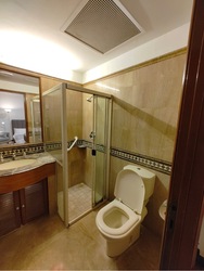 Dover Parkview (D5), Condominium #533419811